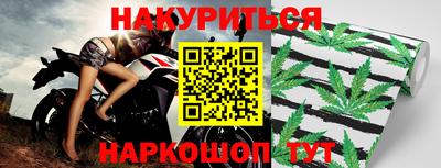 прущие грибы Славянск-на-Кубани