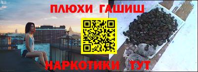 прущие грибы Славянск-на-Кубани